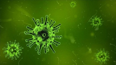 canada confirms first case of coronavirus canada confirms first case of coronavirus