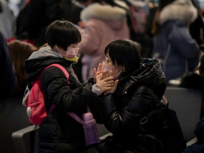 who declares global virus emergency as death toll hits 213