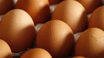 provincial govt bans export of poultry items