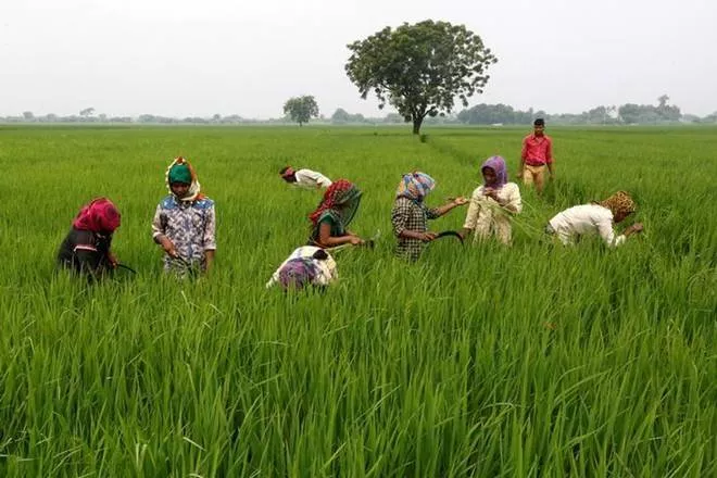 it will spend billion more in water scheme to get broader economic growth back up photo online it will spend billion more in water scheme to get broader economic growth back up photo online