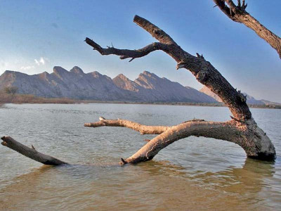 government making strides to preserve nature government making strides to preserve nature