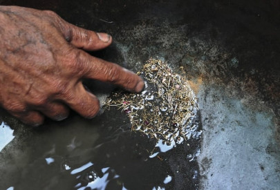 all that glitters gold dust lures scavengers to peshawar