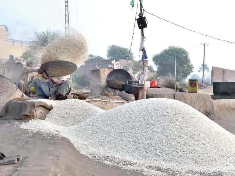 pakistan s rice exports increased over 27 in volumetric term to 20 02 million ton and over 26 in dollar denomination to 1 03 billion in the first half of the current fiscal year ended december 31 2019 photo app