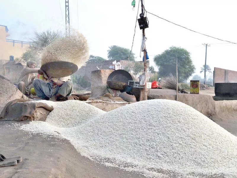 pakistan s rice exports increased over 27 in volumetric term to 20 02 million ton and over 26 in dollar denomination to 1 03 billion in the first half of the current fiscal year ended december 31 2019 photo app pakistan s rice exports increased over 27 in volumetric term to 20 02 million ton and over 26 in dollar denomination to 1 03 billion in the first half of the current fiscal year ended december 31 2019 photo app
