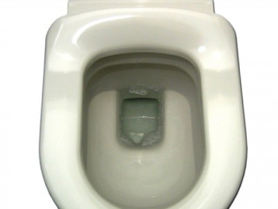 do you have a toilet in your house do you have a toilet in your house