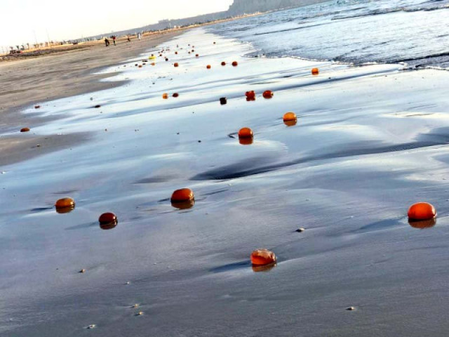 numerous jellyfish have washed onto the sindh and balochistan coast from the arabian sea the latest jellyfish blooms appeared in december 2019 and may be a result of over fishing and climate change photo courtesy wwf p