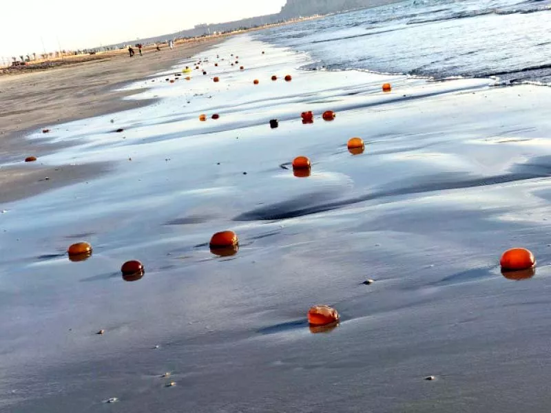 numerous jellyfish have washed onto the sindh and balochistan coast from the arabian sea the latest jellyfish blooms appeared in december 2019 and may be a result of over fishing and climate change photo courtesy wwf p numerous jellyfish have washed onto the sindh and balochistan coast from the arabian sea the latest jellyfish blooms appeared in december 2019 and may be a result of over fishing and climate change photo courtesy wwf p