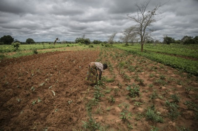 hunger stalks southern africa as climate crisis deepens hunger stalks southern africa as climate crisis deepens