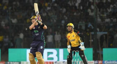 gladiators v zalmi a rivalry ready to light up hbl psl 2020