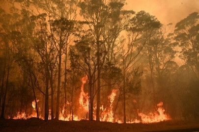 bushfire crisis hit 75 of australians