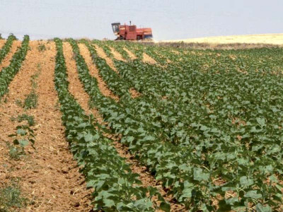 covid 19 threatens food security in pakistan covid 19 threatens food security in pakistan