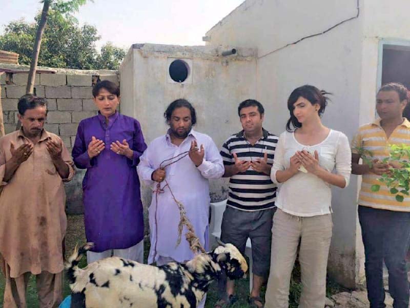 transgender persons pray before slaughtering a sacrificial animal on the eve of eidul azha photo express