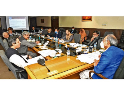 govt mulls options to expand tax net