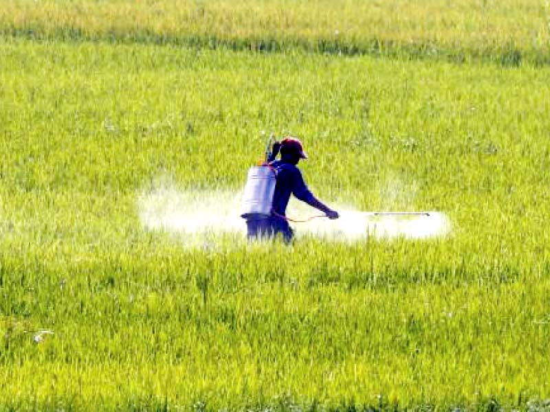 fertiliser firms threaten to hike prices