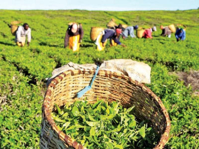 govt approves subsidy for farmers govt approves subsidy for farmers