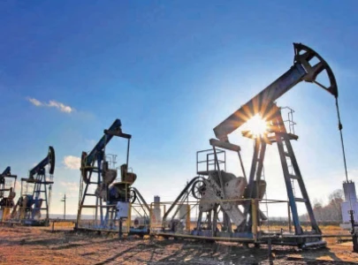 mari petroleum s profit rises 3 7 to rs31b