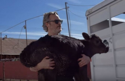 joaquin phoenix saves animals from slaughterhouse joaquin phoenix saves animals from slaughterhouse