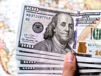 ztbl s nosedive pauses in second quarter ztbl s nosedive pauses in second quarter