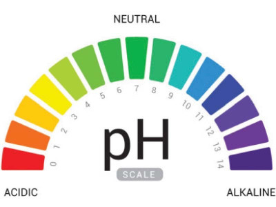 south punjab soil fertility declines drastically