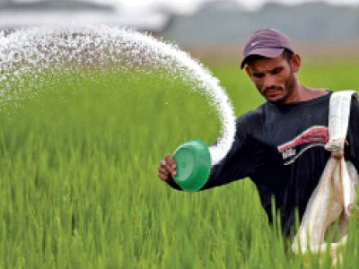 tarin opposes subsidy for urea plants