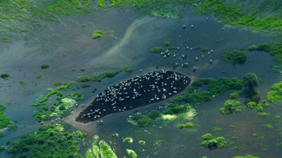 protection of wetlands stressed to avoid biodiversity loss protection of wetlands stressed to avoid biodiversity loss