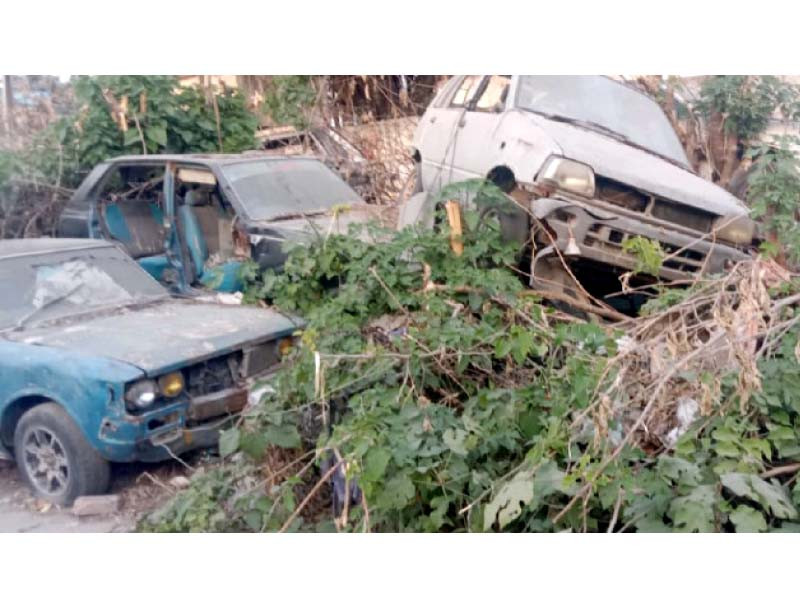 vegetation has started snaking its way into the interiors of the impounded vehicles kept at police stations photo agha mahroz express