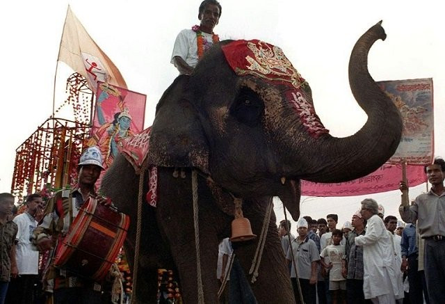 a mahout guides a decorated elephant in dhaka photo afp file a mahout guides a decorated elephant in dhaka photo afp file