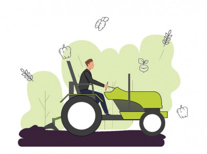 punjab sindh meet sowing target