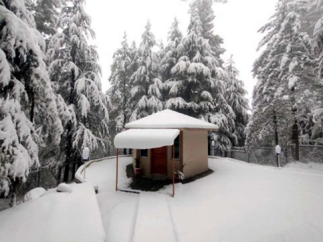 a large number of tourists have reached murree and galiyat to enjoy the snowfall photos agha mahroz express a large number of tourists have reached murree and galiyat to enjoy the snowfall photos agha mahroz express