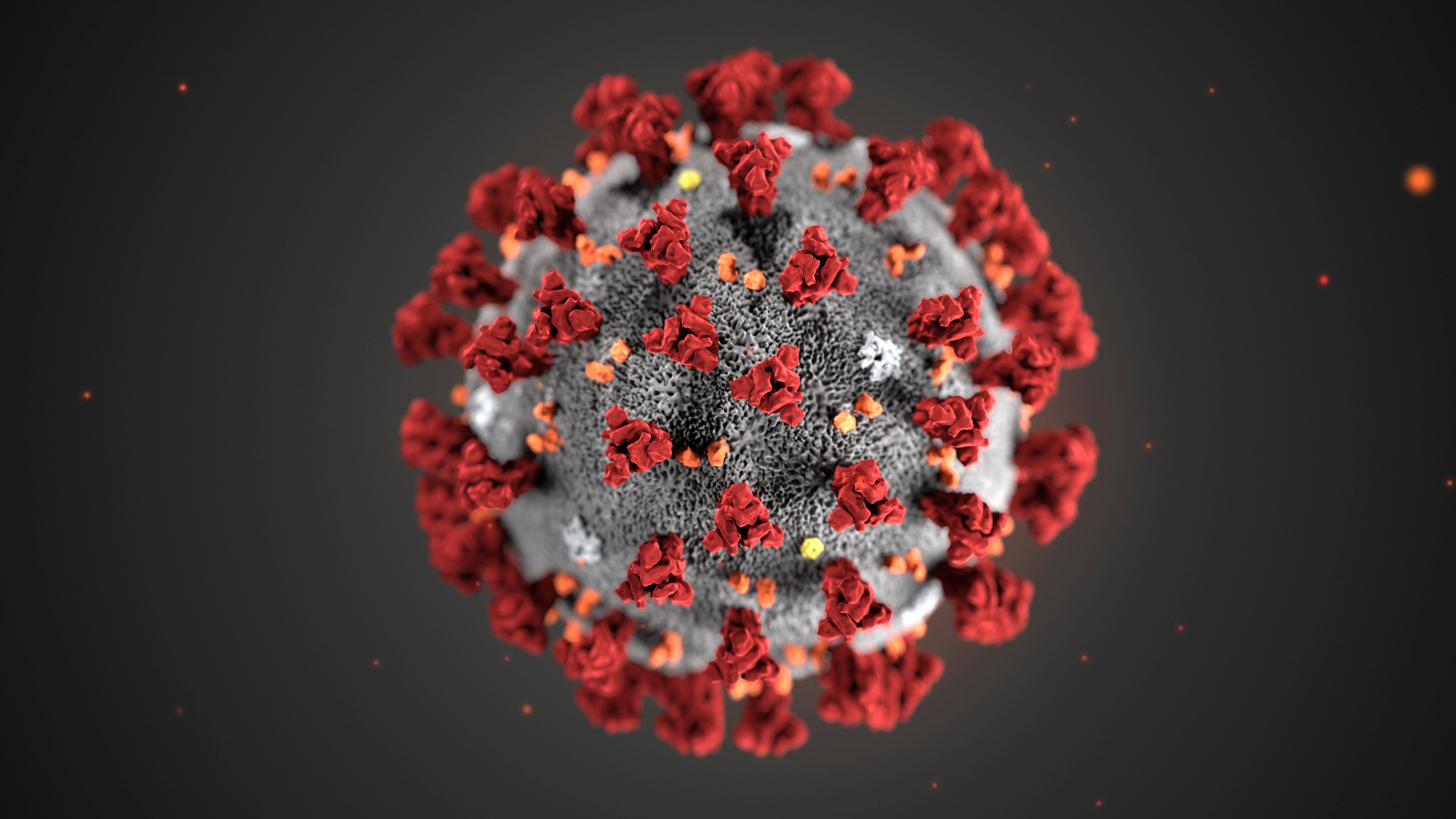 coronavirus photo reuters