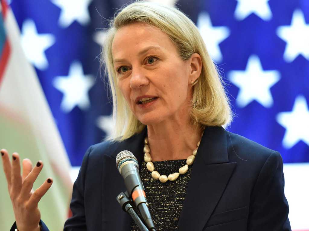 unfortunate if pakistan discourages foreign investors and stifles domestic innovation says us senior diplomat photo file