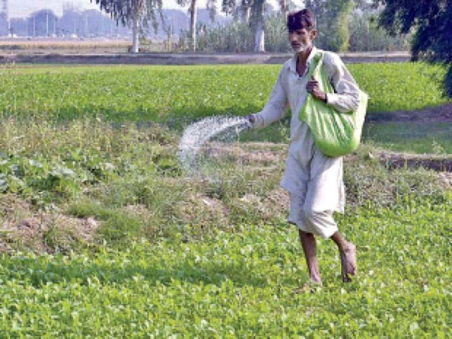 the energy minister pointed out that unlike the tradition the government did not curtail gas supply to fertiliser plants in nov last year and as a result urea production touched its peak in 2021 photo file the energy minister pointed out that unlike the tradition the government did not curtail gas supply to fertiliser plants in nov last year and as a result urea production touched its peak in 2021 photo file