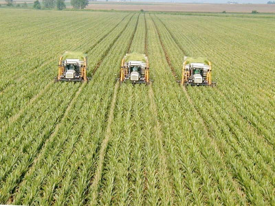 cabinet members dispute pakistan s crop estimates