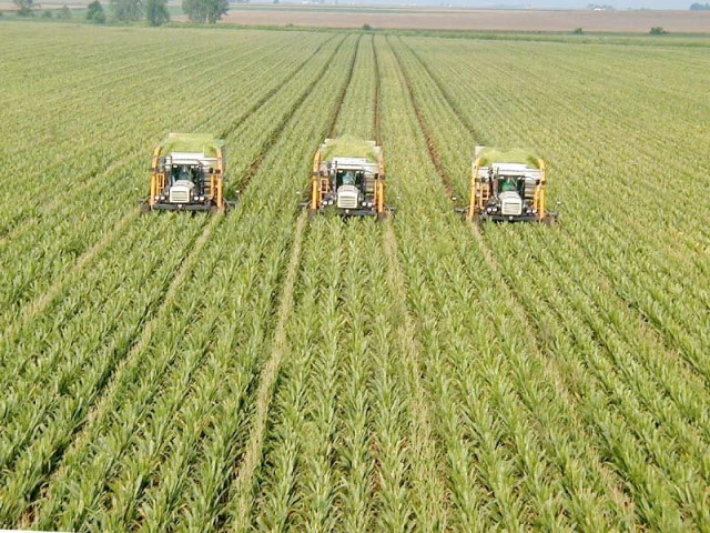 textile barons being the sole buyers of cotton were said to have caused a loss of rs52 billion to farmers by offering lower prices and monoplising the market according to the ministry of national food security photo file textile barons being the sole buyers of cotton were said to have caused a loss of rs52 billion to farmers by offering lower prices and monoplising the market according to the ministry of national food security photo file