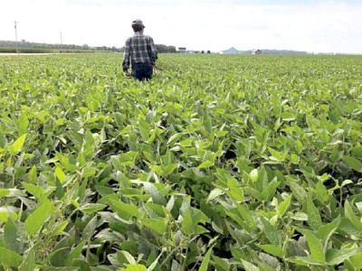 rains to have positive impact on crops