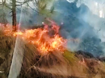 two days on forest fire rages on two days on forest fire rages on