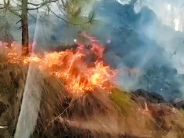 two days on forest fire rages on