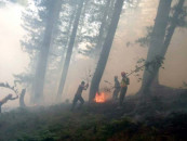 murree forest fires continue to rage burn 3 homes murree forest fires continue to rage burn 3 homes