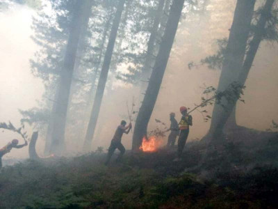 murree forest fires continue to rage burn 3 homes murree forest fires continue to rage burn 3 homes