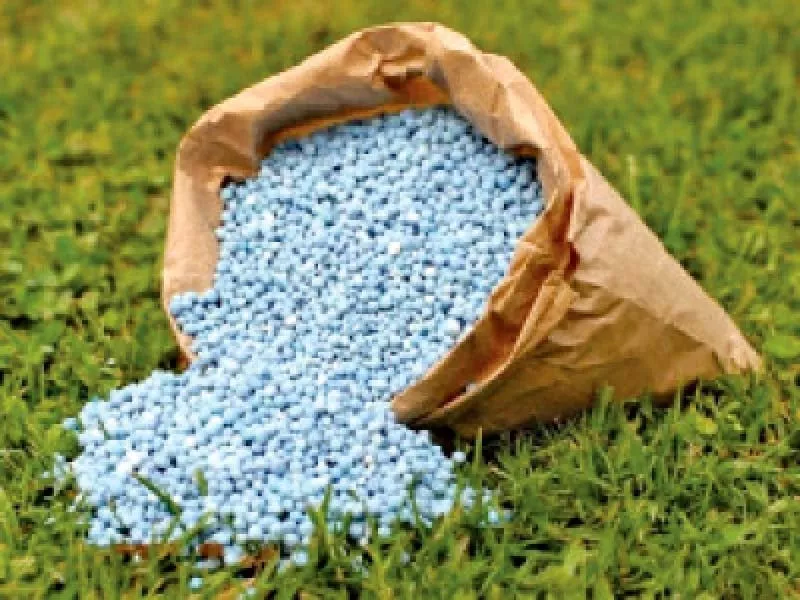 instead of making agricultural inputs cheaper the government increased the sales tax on fertiliser which is a matter of grave concern photo file instead of making agricultural inputs cheaper the government increased the sales tax on fertiliser which is a matter of grave concern photo file