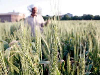 200m loan to transform farming