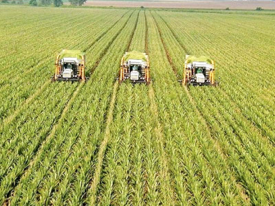 sindh launches hydro agro programme
