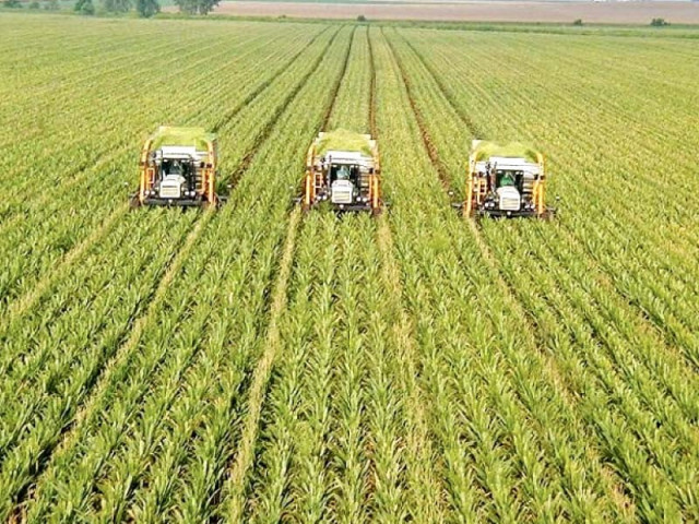 the business community of kyrgyzstan is also keen on tapping into pakistani market via exporting their own agricultural products photo file the business community of kyrgyzstan is also keen on tapping into pakistani market via exporting their own agricultural products photo file