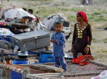 policy draft hurried not holistic policy draft hurried not holistic