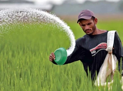 fertiliser sector s margins fall fertiliser sector s margins fall