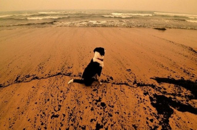 half of world s beaches could vanish by 2100 half of world s beaches could vanish by 2100