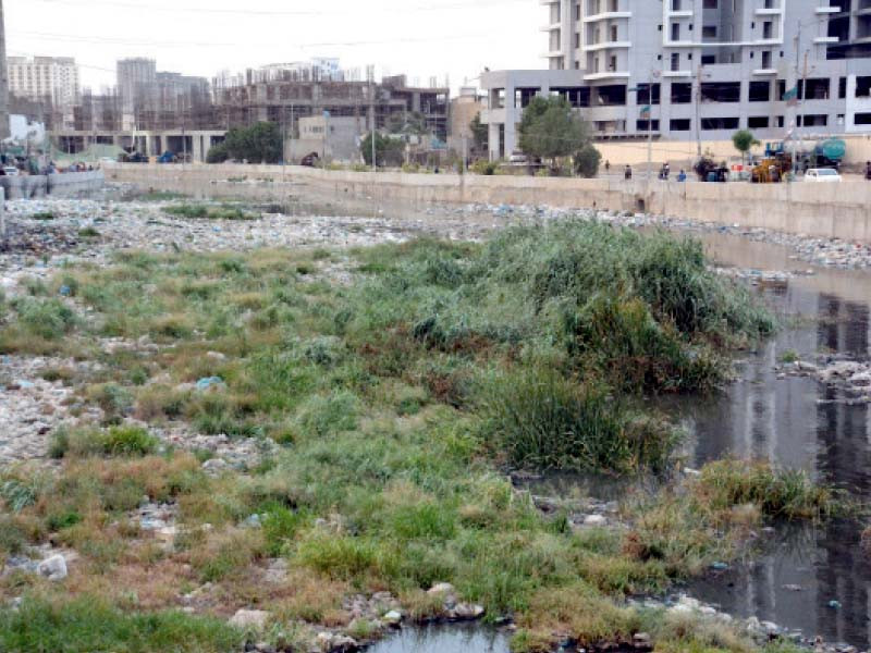 vegetation has grown on the trash dumped in the nullah near the qayumabad area of the city people dump garbage in drains oblivious of the fact that it would cause urban flooding and damage their homes photo express