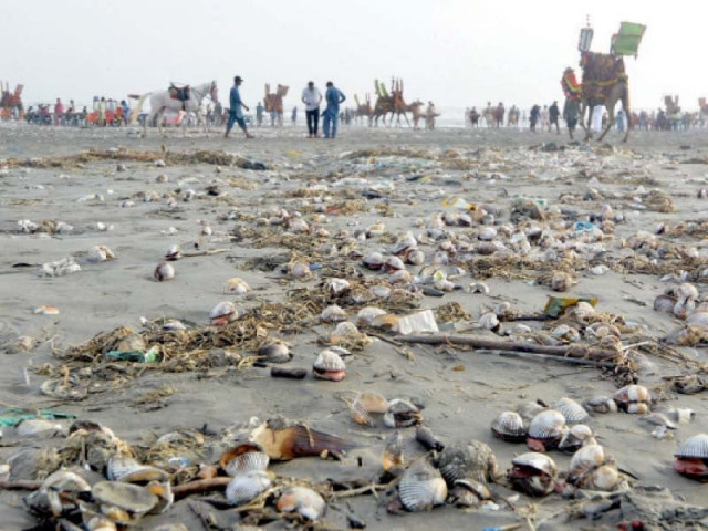 dead clams seaweed and plastic churned out by the sea during high tides triggered by cyclone biparjoy are seen on the clifton beach if not cleared the rotting garbage can cause environmental pollution photo express dead clams seaweed and plastic churned out by the sea during high tides triggered by cyclone biparjoy are seen on the clifton beach if not cleared the rotting garbage can cause environmental pollution photo express