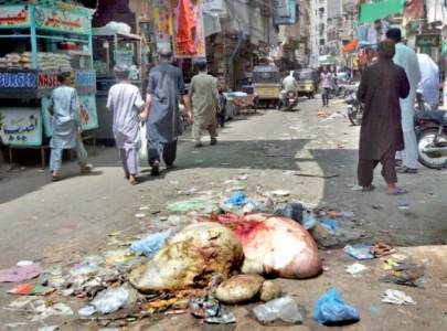 entrails disposal remains a challenge entrails disposal remains a challenge
