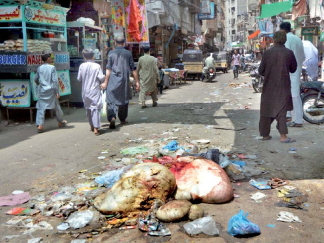 offals of sacrificial animals lying on a street causing foul odour in the area photo express offals of sacrificial animals lying on a street causing foul odour in the area photo express